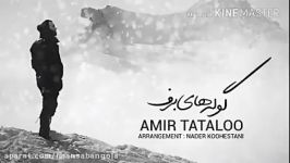 امیر تتلو   گوله های برف amir tataloo   golahay barf