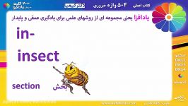 18 دکتر کیمیا 504 واژه  روش یادافزا  Insect