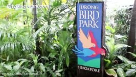 کارناوال  باغ پرندگان جورونگ سنگاپور2