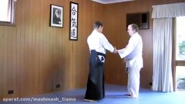 Basic Aikido techniques