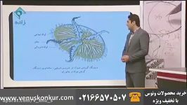 تدریس متفاوت زیست شناسی کنکور دکتر مهدی آرامفر، مبحث گردش مواد