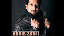 حبیب زارعی فکر تو خالی HABIB ZAREI  Fekre Too Khali