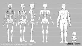 آموزش طراحی کاراکتر  آشنایی آناتومی  آریاگستر