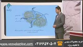 تدریس متفاوت زیست شناسی کنکور دکتر مهدی آرامفر، مبحث گردش مواد