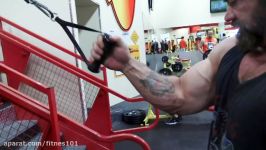 My Favorite Exercises for HUGE Forearms