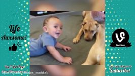 Try Not To Laugh or Grin Watching Funny Kids vs Animals Vines Compilation  Funny Kids Fails Videos