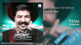 Behnam Bani  Top 3 Songs  Januaryسه آهنگ برتر ماه ژانویه بهنام بانی