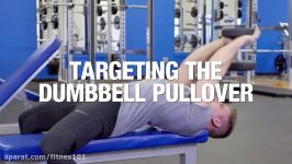 Dumbbell Pullover Chest or Back Exercise