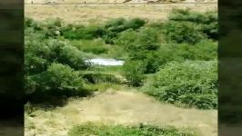 کانال آب سراب گاماسیاب سرچشمه میگیره در شهرستان نهاوند استان همدان
