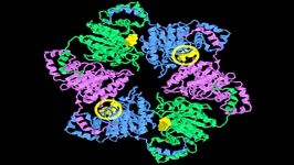 همانند سازی DNA