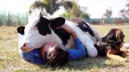 Animals Hugging Humans  Animal Hugs People Videos  Animal Hugs Human Compilation