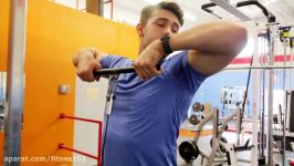 How to Upright Row PROPERLY While Avoiding Pain Fix Your Upright Barbell Row Fo