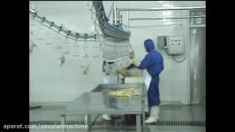 Poultry processing line working کشتارگاه طیورRasti.ir