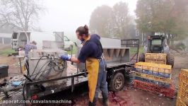 On Farm Chicken Processing Butchering Scalding and Plucking