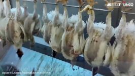 6000bph Halal Automatic Poultry Processing Line Slaugherhouse Chicken and Duck Slaugheri