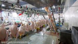 chicken cutting up line  manual operation in the chicken processing plant slaugherhouse