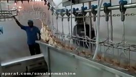 Automatic Poultry Processing Plant up to 3000 Birds Per Hour