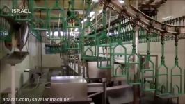 World Modern Technology Automatic POULTRY PRODUCTION