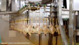 Poultry Dressing Plant