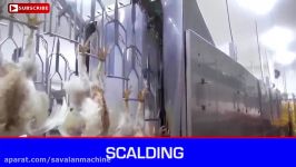 An Inside Look at U.S. Poultry Processing