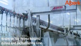 Poultry Processing  Alberk