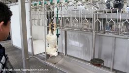 COMPACT POULTRY PROCESSING EQUIPMENT