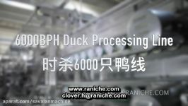 6000BPH Duck Slaughtering Processing Line for Poultry Slaughtering and Processing Plant