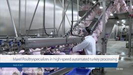 Turkey processing cut up line Stork ACM T