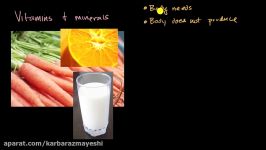 Introduction to vitamins and minerals