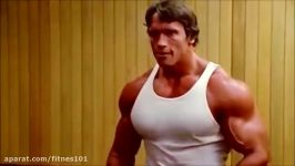 Hulk Vs. Terminator Lou Ferrigno Vs. Arnold Schwarzenegger  1975