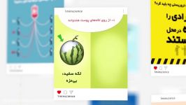 آکادمی باغ کتاب تهران  نمونه تولیدات کات استودیو