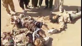 هلاکت سه انتحاری داعشی توسط ارتش عراق