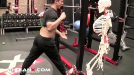 Stop Stretching Your Hamstrings UNTIL YOU WATCH