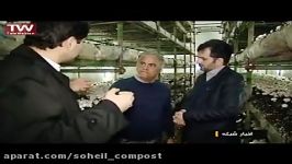 گزارش صداوسیما ازمجتمع کشت وصنعت قارچ سحرسهیل کمپوست