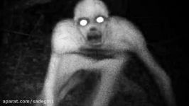 5 Scariest Creatures Caught On Camera