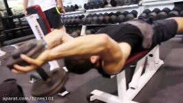 Arnold Schwarzeneggers Full BEAST Chest Workout for Maximum Gains