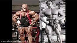 WHY YOU CANT COMPARE ARNOLDS BODY WITH PHIL HEATH