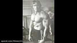 arnold schwarzenegger looking huge in all photos