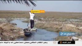 گزارشی درباره تالاب شادگان خوزستان