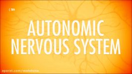 Autonomic Nervous System Crash Course AP #13