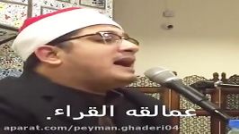 شاهکار تلاوت «سوره شمس» استاد محمود الشحات انور