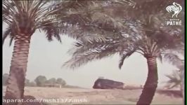 Welcome to Baghdad How Iraq Used to Be in the 1950s  British Pathé