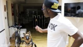 DOG PREDICTS KSI VS JOE WELLER