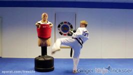 Taekwondo Kicking Training Sampler on the BOB XL