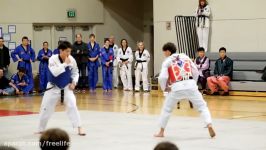 Master v. master taekwondo sparring