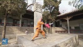 Kung fu fans alert Shaolin Temple hosts martial arts petition