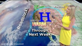 Evelyn Tafts Weather Forecast Feb. 1