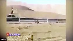 تصادف هولناک پراید اسب در جاده شیراز  استهبان