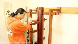 Wing Chun Muk Jong Wooden Dummy Beginners Training Drill Developing One Techni