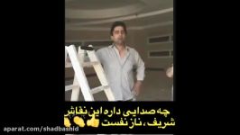 به به ، چه صدایی داره این نقاش شریف ، ناز نفست